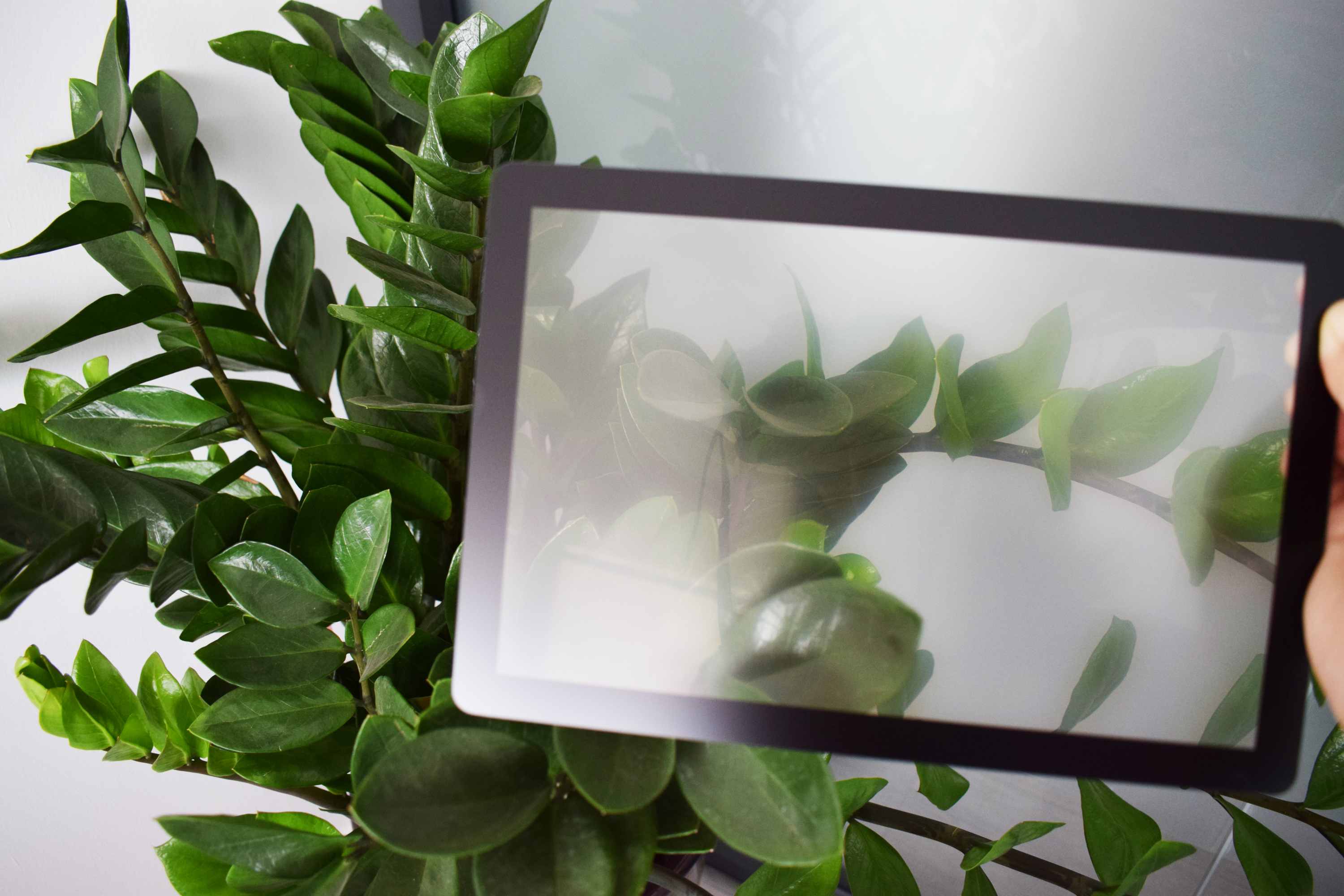 AG Anti-Glare Cover Glass: The Ultimate Solution for Enhanced Visual Comfort