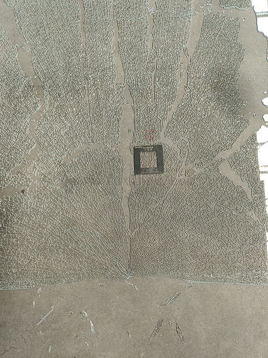 夜班钢化玻璃抽检75粒 3.2mm 75寸玻璃测试结果.jpg