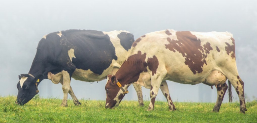 屏幕截图 2026-03-04 144826.jpg